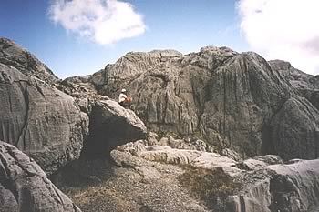 Mt Owen, Kahurangi National Park, Nelson region