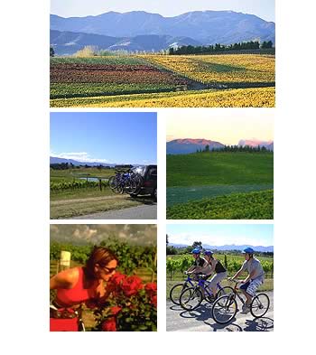 Tasman wine tasting, throughout the Moutere