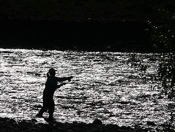 Fishing in the Motueka River, Nelson region, New Zealand