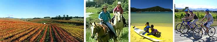 Nelson & Tasman Bay Wine Trail on Bikes, New Zealand