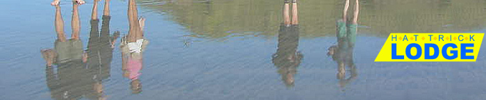 Motueka and the Abel Tasman have so much to offer